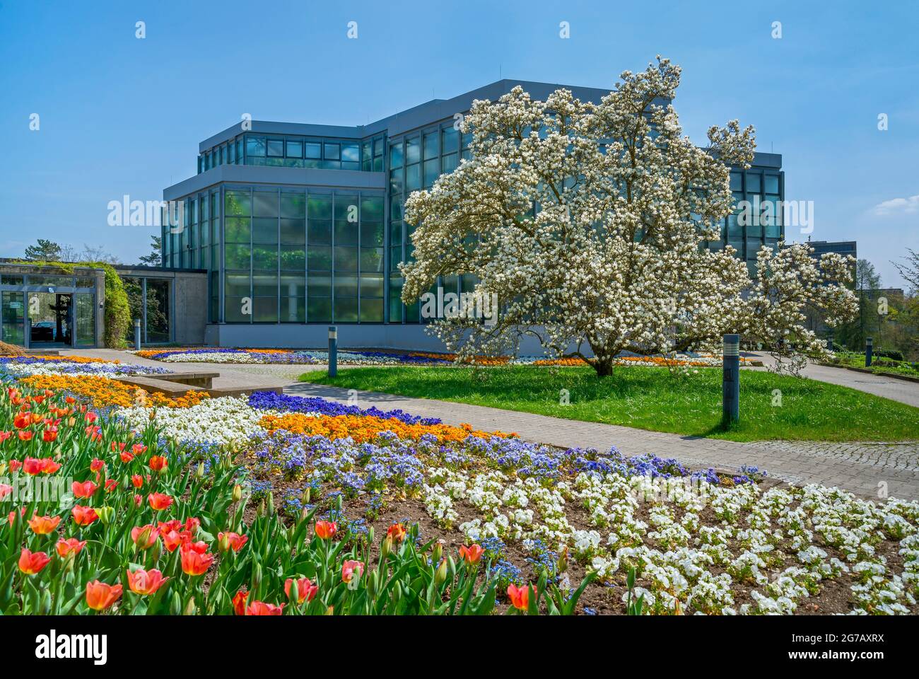 Allemagne, Bade-Wurtemberg, Tuebingen, jardin botanique Banque D'Images