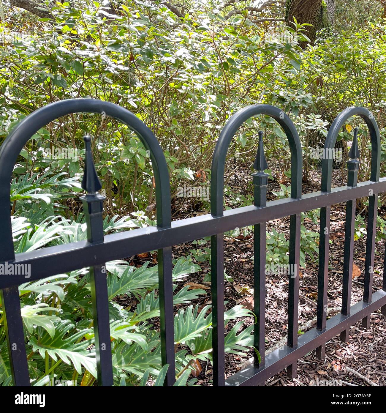 Un gros plan d'une clôture noire le long d'un chemin dans un parc de Celebration, Floride qui peut être utilisé comme un arrière-plan. Banque D'Images