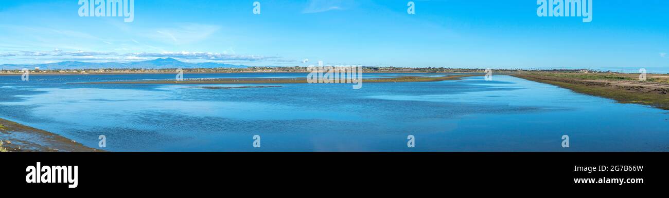 Vue panoramique sur l'eau de la réserve Bolsa Chica en Californie Banque D'Images