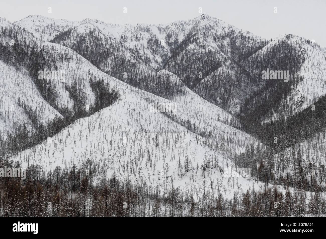 Chaîne de montagnes Suntar-Khayata, route des os, République de Sakha, Yakutia, Russie Banque D'Images