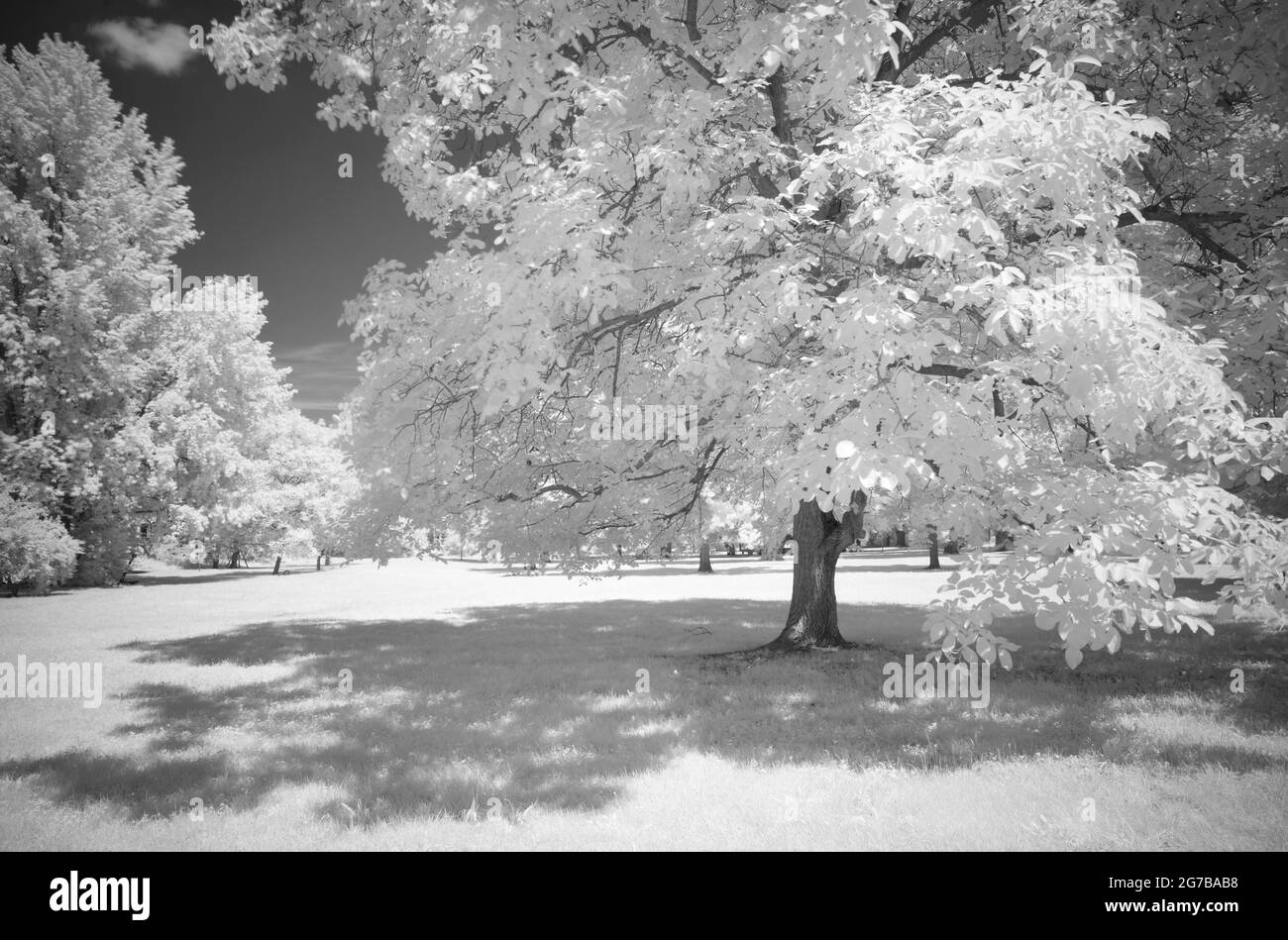 Image infrarouge, paysage de parc Talaue, Waiblingen, Bade-Wurtemberg, Allemagne Banque D'Images