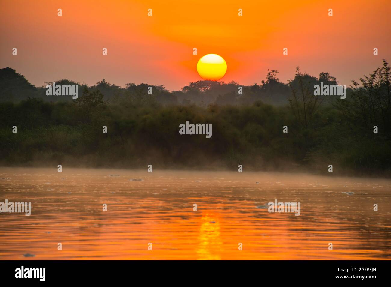 Lever de Soleil sur le Nil dans le parc national de Murchison Falls, l'Ouganda, l'Afrique Banque D'Images
