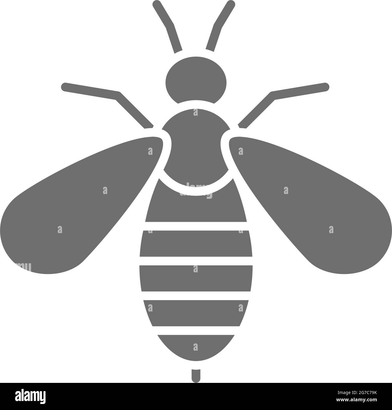 Icône grise de thérapie de venin d'abeille. Isolé sur fond blanc Illustration de Vecteur
