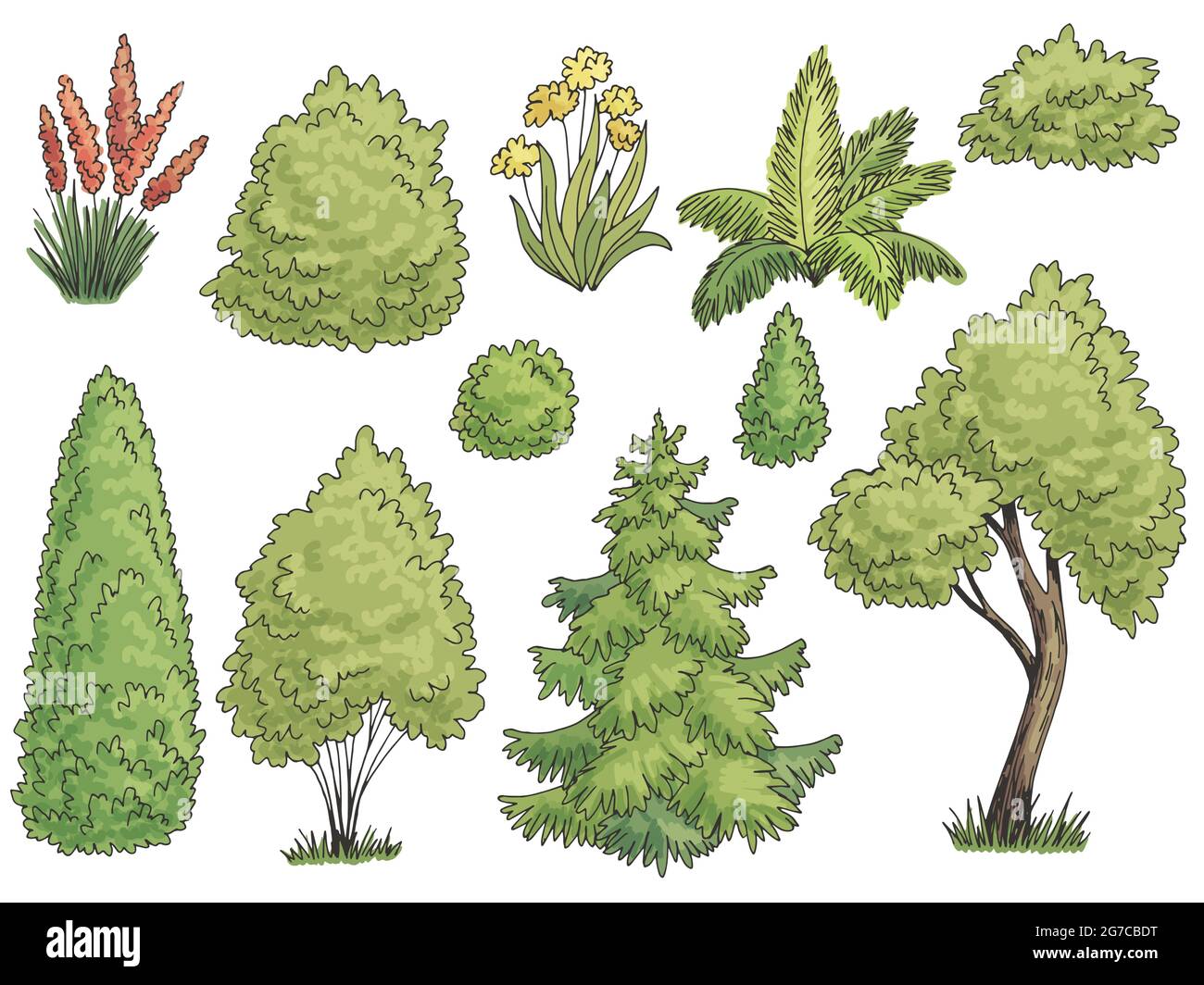 Ensemble de plantes graphique jardin buisson couleur vue latérale vecteur d'illustration isolé Illustration de Vecteur