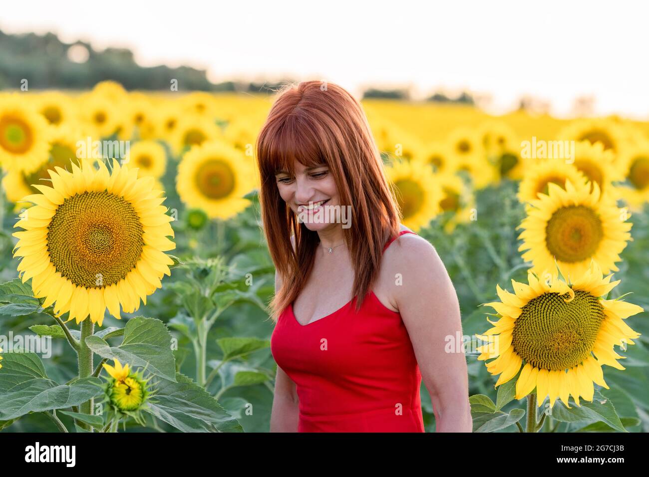 Belle femme dans Sunflower Field Banque D'Images