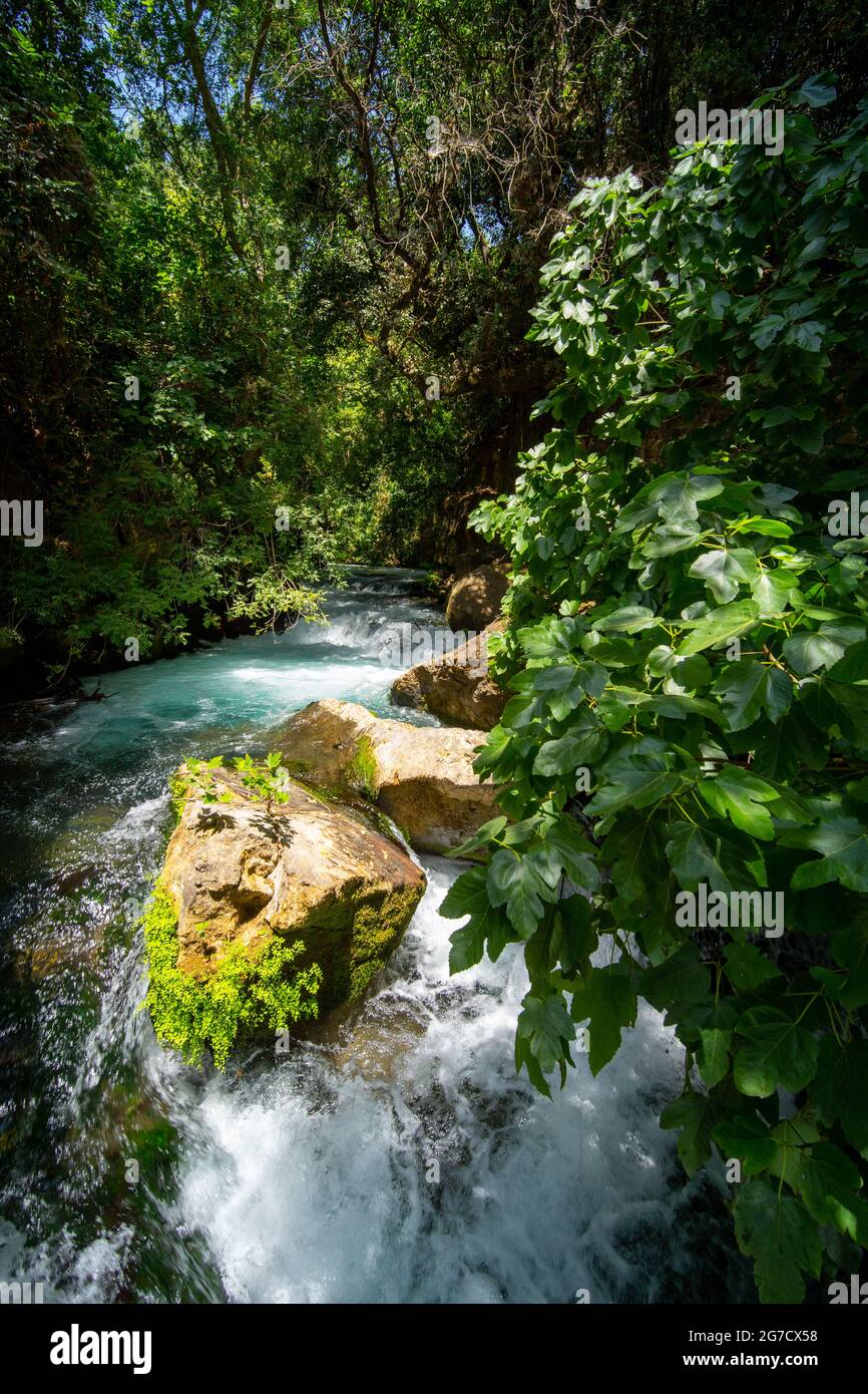 Banias Spring and Stream (Banias River ou Hermon River) plateau du Golan, Israël ce printemps est une des sources de la Jordanie Banque D'Images