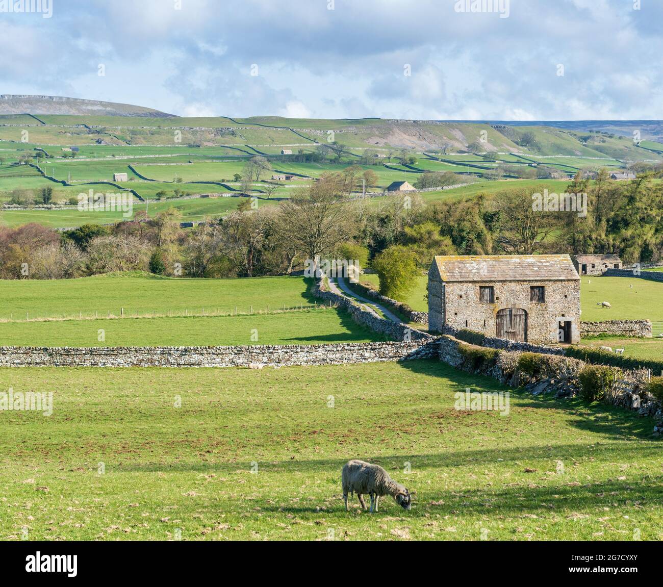 Une grange en pierre à côté d'une piste près d'Askrigg à Wensleydale, dans le North Yorkshire Banque D'Images