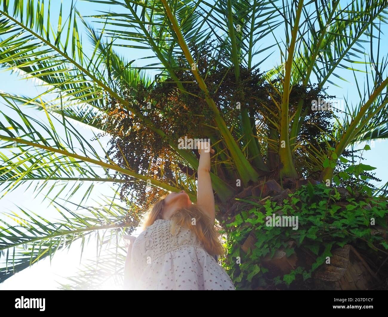 La fille se tient sous un palmier qui se répand au soleil et étire sa main  vers le haut. Photo de bas en haut Photo Stock - Alamy