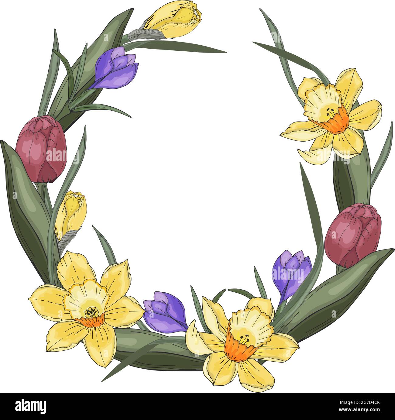 Couronne de printemps tulipes narcisse feuilles de crocus, dessin à la main. Illustration vectorielle Illustration de Vecteur