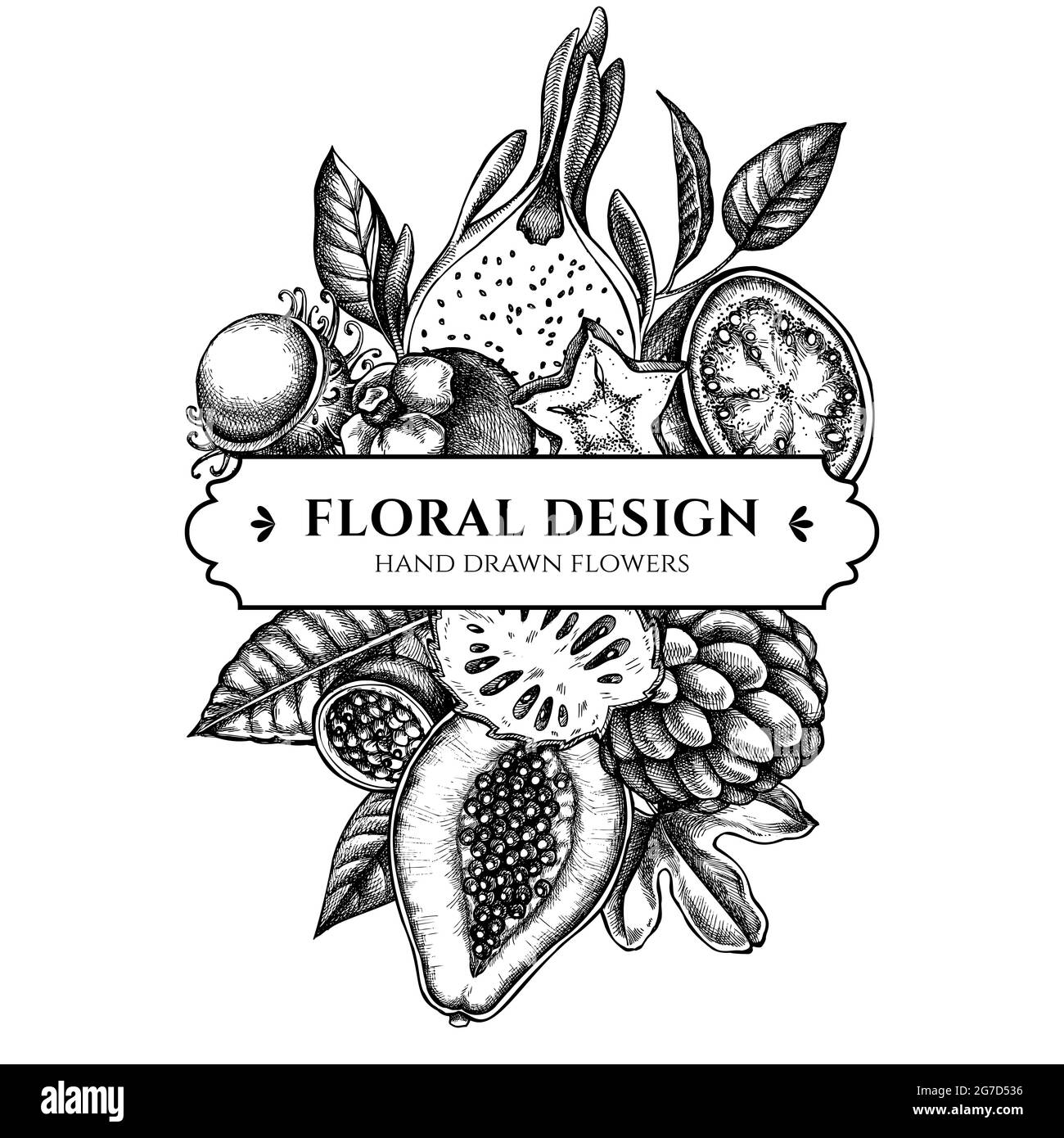 Composition avec papaye noir et blanc, goyave, fruits de la passion, amidons, durian, rambutan, pitaya, jackfruit, sucre-pomme, soussop, mangoustan Illustration de Vecteur