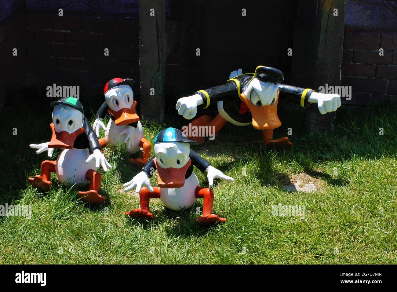 Daffy Duck Banque D'Images