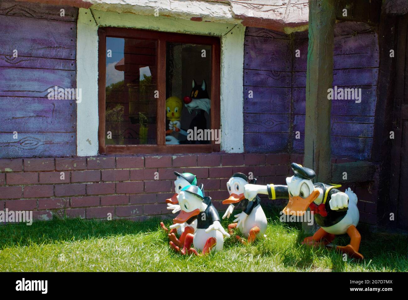 Daffy Duck Banque D'Images