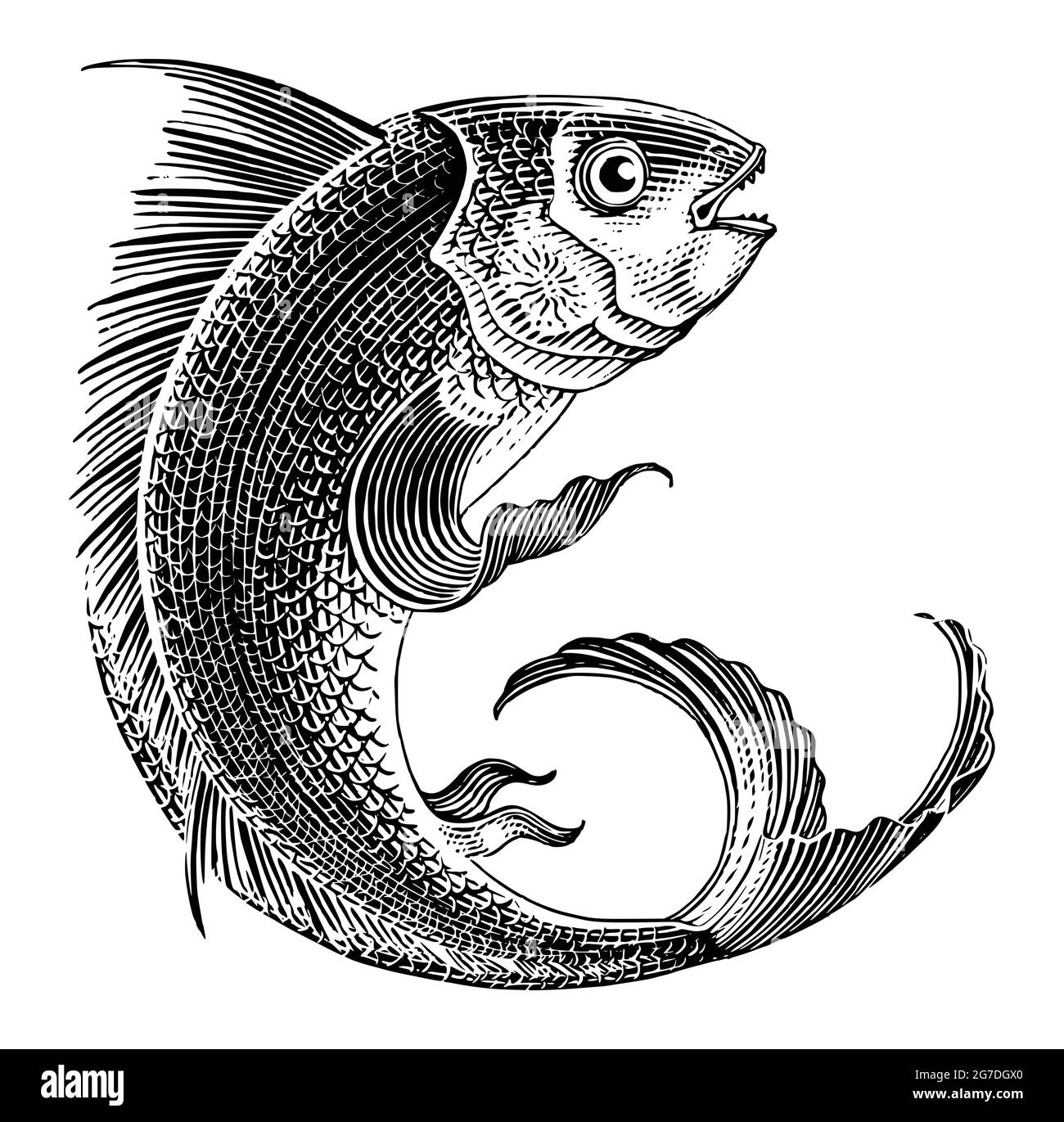 Poisson de mer sautant main dessiner vintage style gravure noir et blanc clip art isolé sur fond blanc Illustration de Vecteur