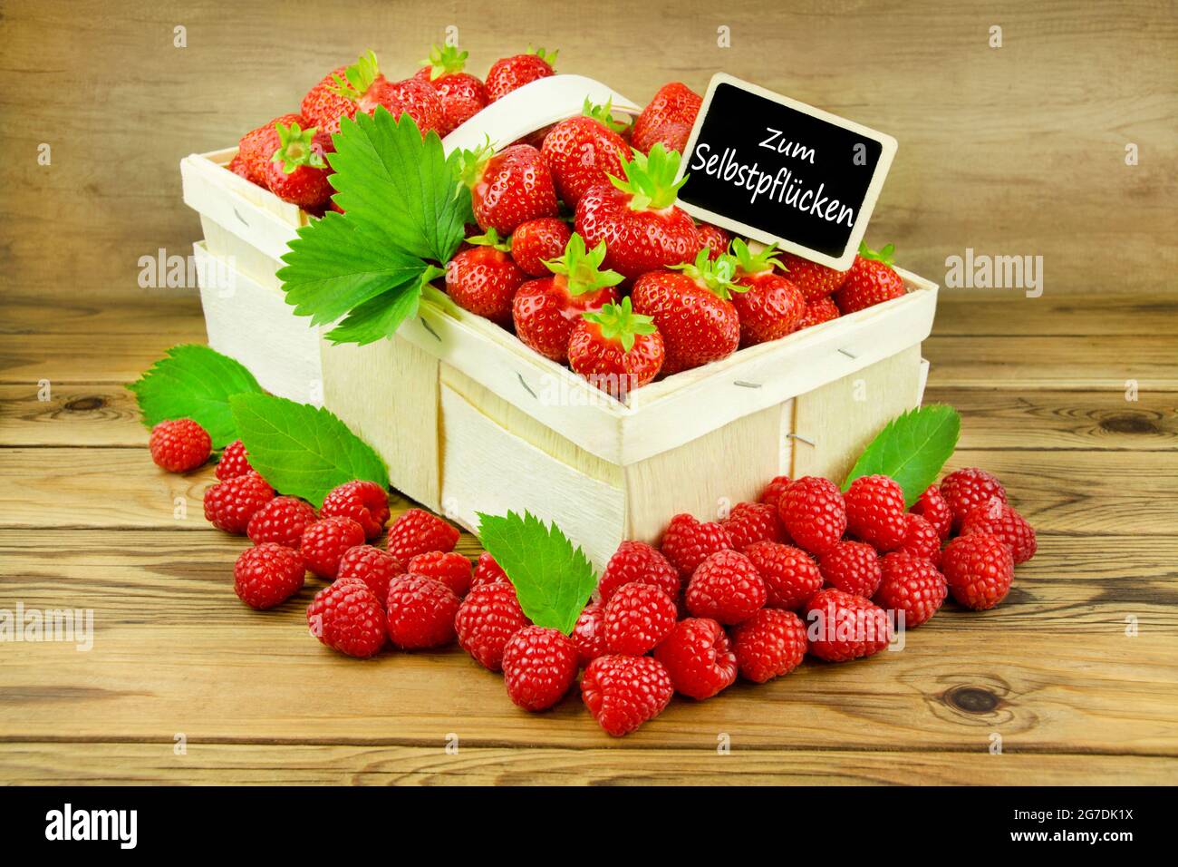 Erstbeeren und Himbeeren zum Selbstpflücken mit Label Banque D'Images