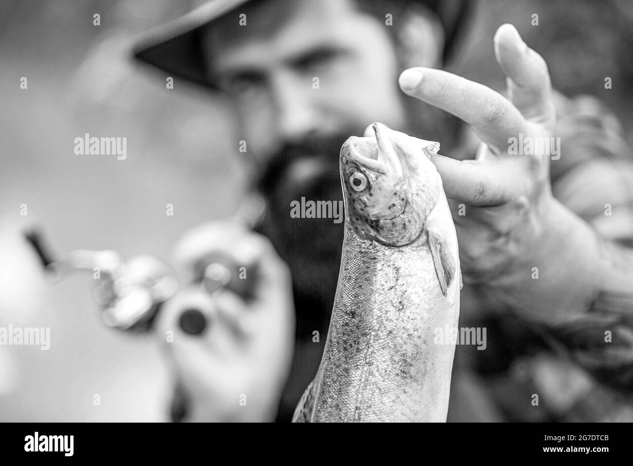 Fonds de pêche. L'homme tient la grosse truite de poisson dans ses mains. Pêcheur et truite trophée. Homme tenant un poisson de truite. Noir et blanc Banque D'Images