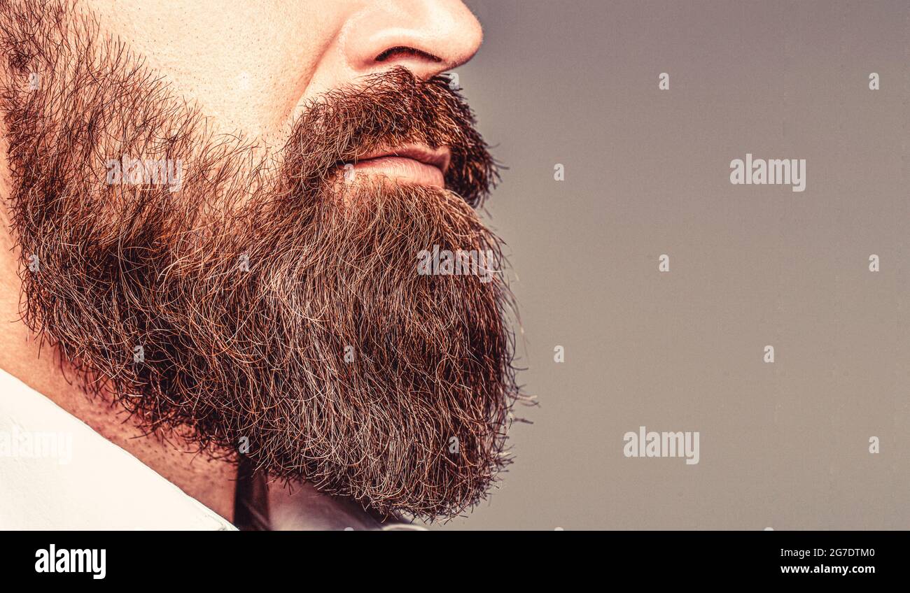 Gros plan de la jolie barbe hippster élégant homme. Homme barbu en gros plan. La barbe est son style. Gros plan sur les barbes. Homme avec moustache en pleine croissance Banque D'Images