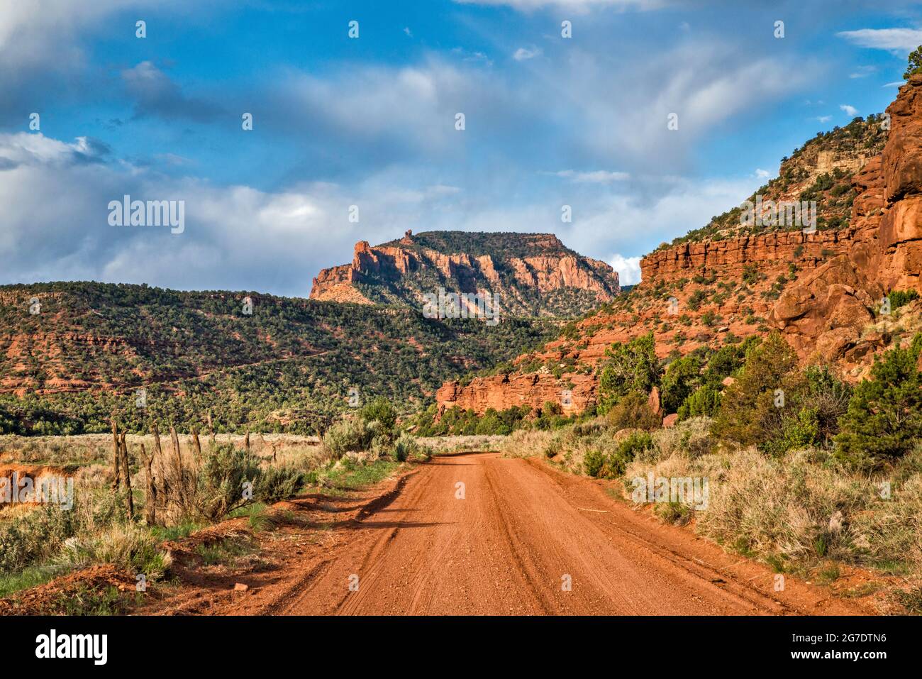 Cathedral Butte, Beef Basin Road, Indian Creek Unit, Bears Ears National Monument, près du parc national de Canyonlands, Utah, États-Unis Banque D'Images