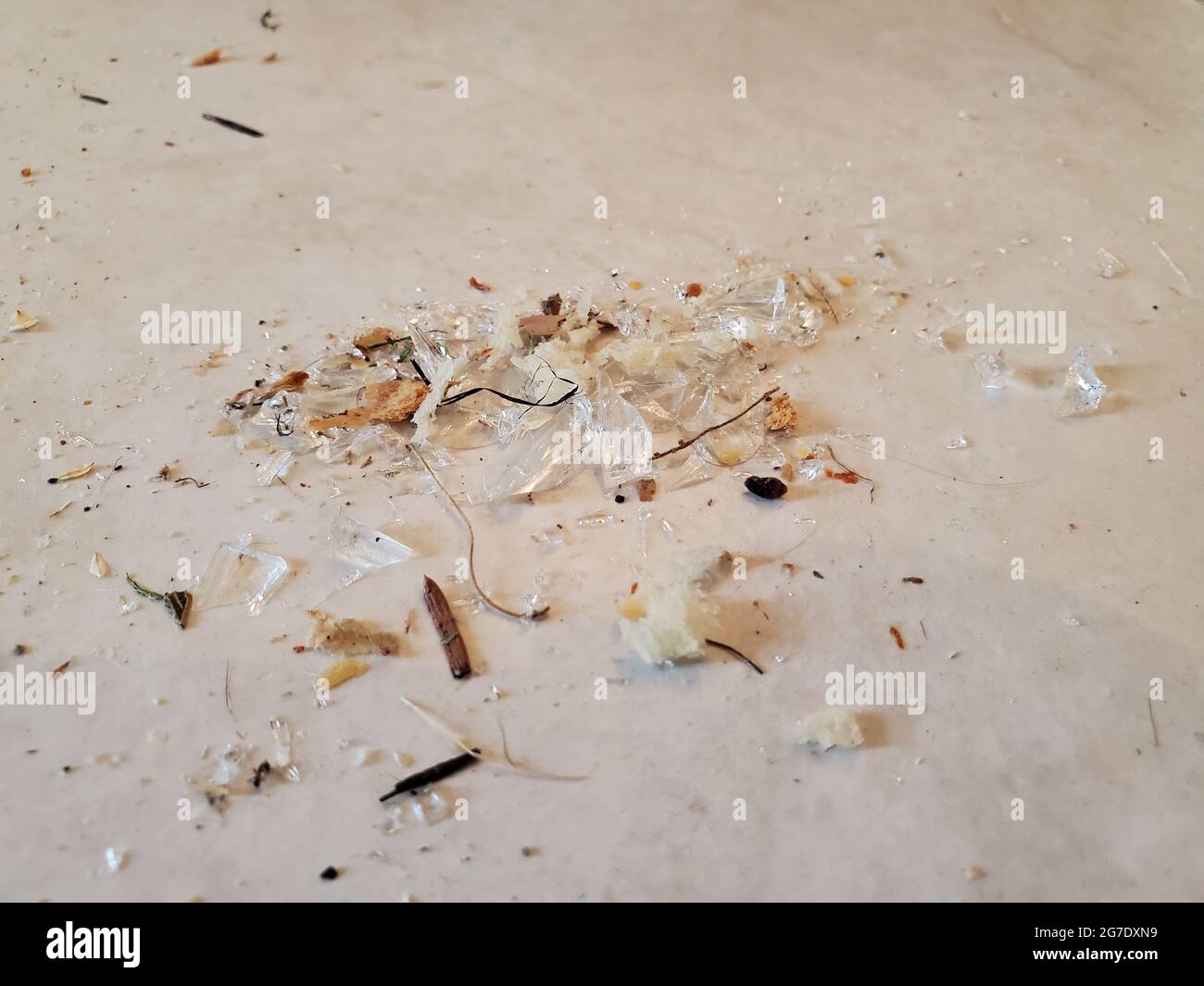 Gros plan de fragments de verre brisé sur le sol avec de la poussière, Lafayette, Californie, 14 juin 2021. () Banque D'Images