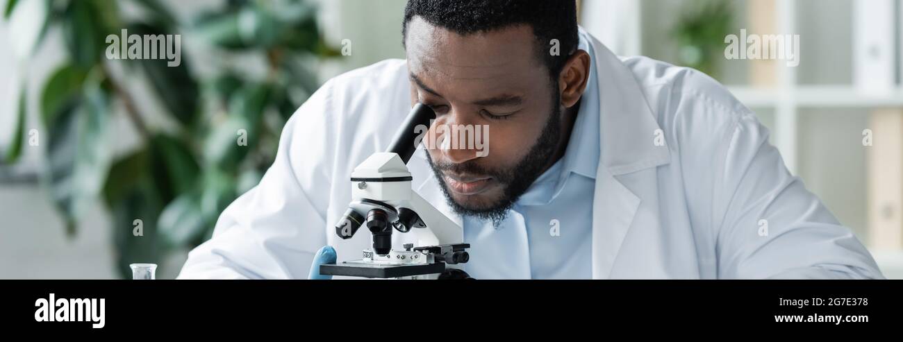 Un scientifique afro-américain regardant au microscope en laboratoire, Banner Banque D'Images