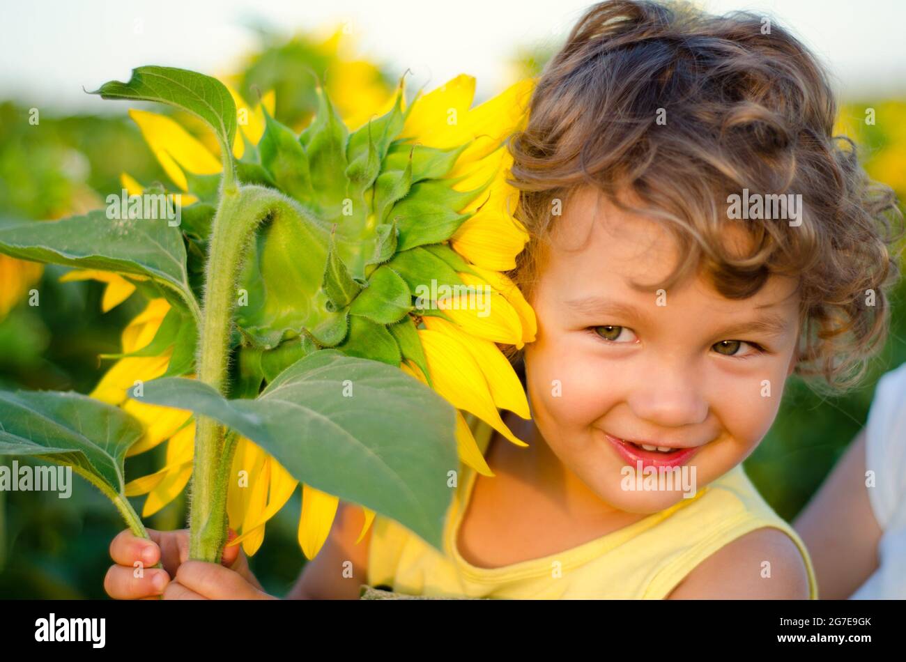 petit garçon avec tournesol jaune en gros plan Banque D'Images