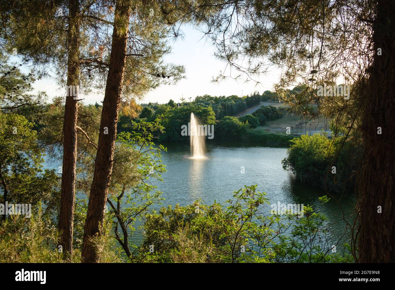 Beau parc avec fontaine dans le lac Banque D'Images