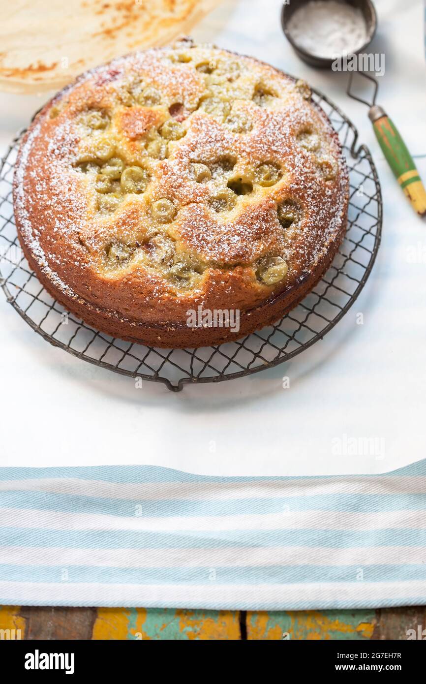 Gâteau aux groseilles à maquereau avec sucre glace Banque D'Images