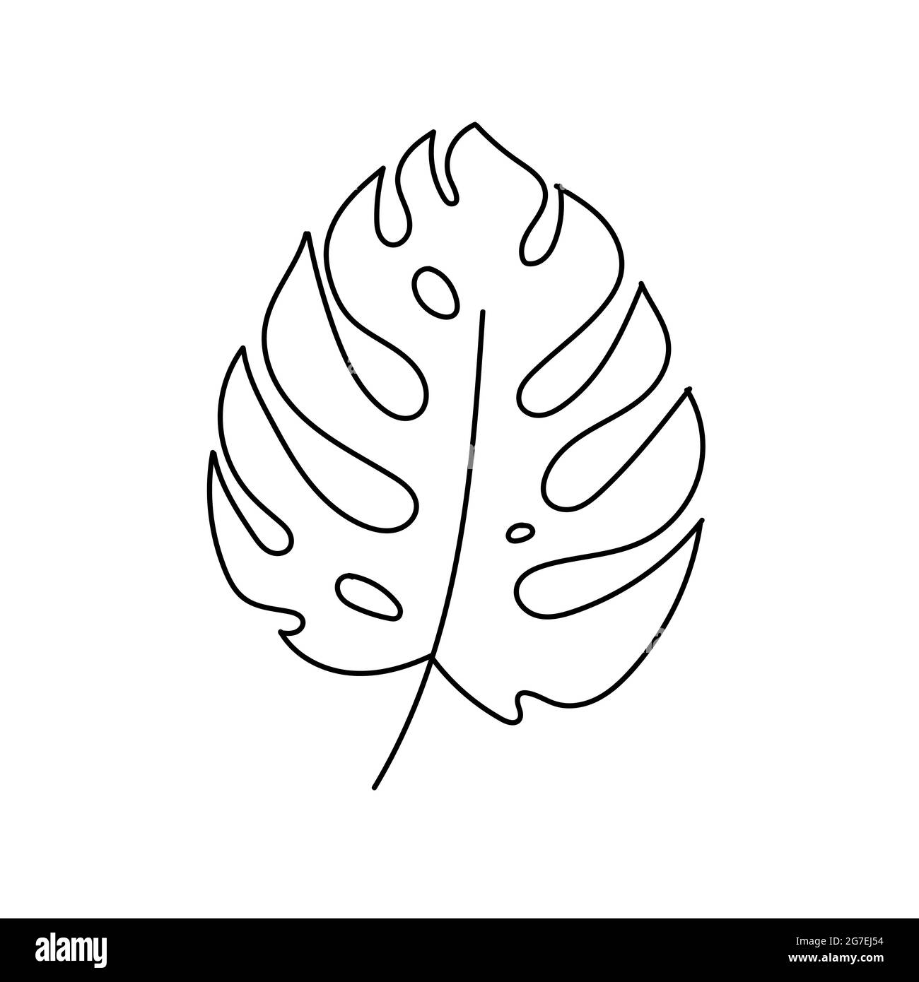 Dessin d'une feuille tracé à la main. Illustration vectorielle Illustration de Vecteur