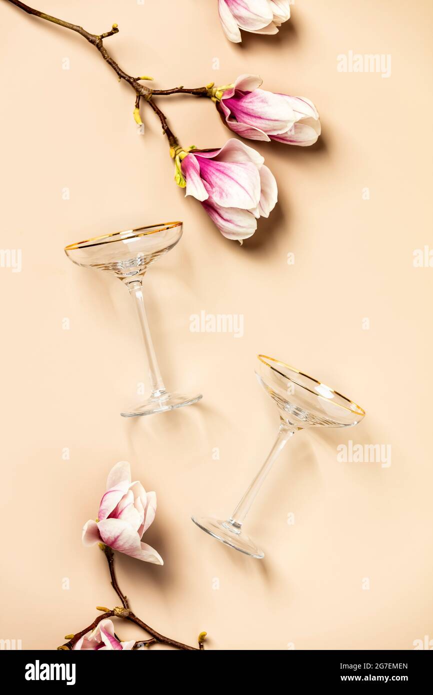 Fleurs de printemps magnolia et verres à vin plat, vue sur le dessus, concept de célébration Banque D'Images