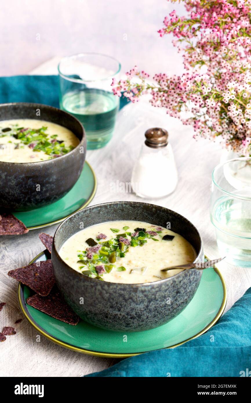 Soupe de haricots blancs de Cilantro de Poblano rôtie Banque D'Images
