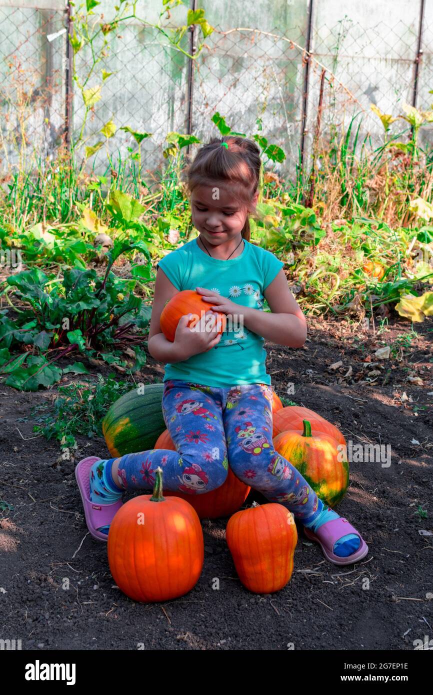 La jeune fille est assise sur un tas de citrouilles et tient une citrouille orange dans ses mains. Tas de citrouilles d'orange sur le terrain. Concept de récolte. Banque D'Images