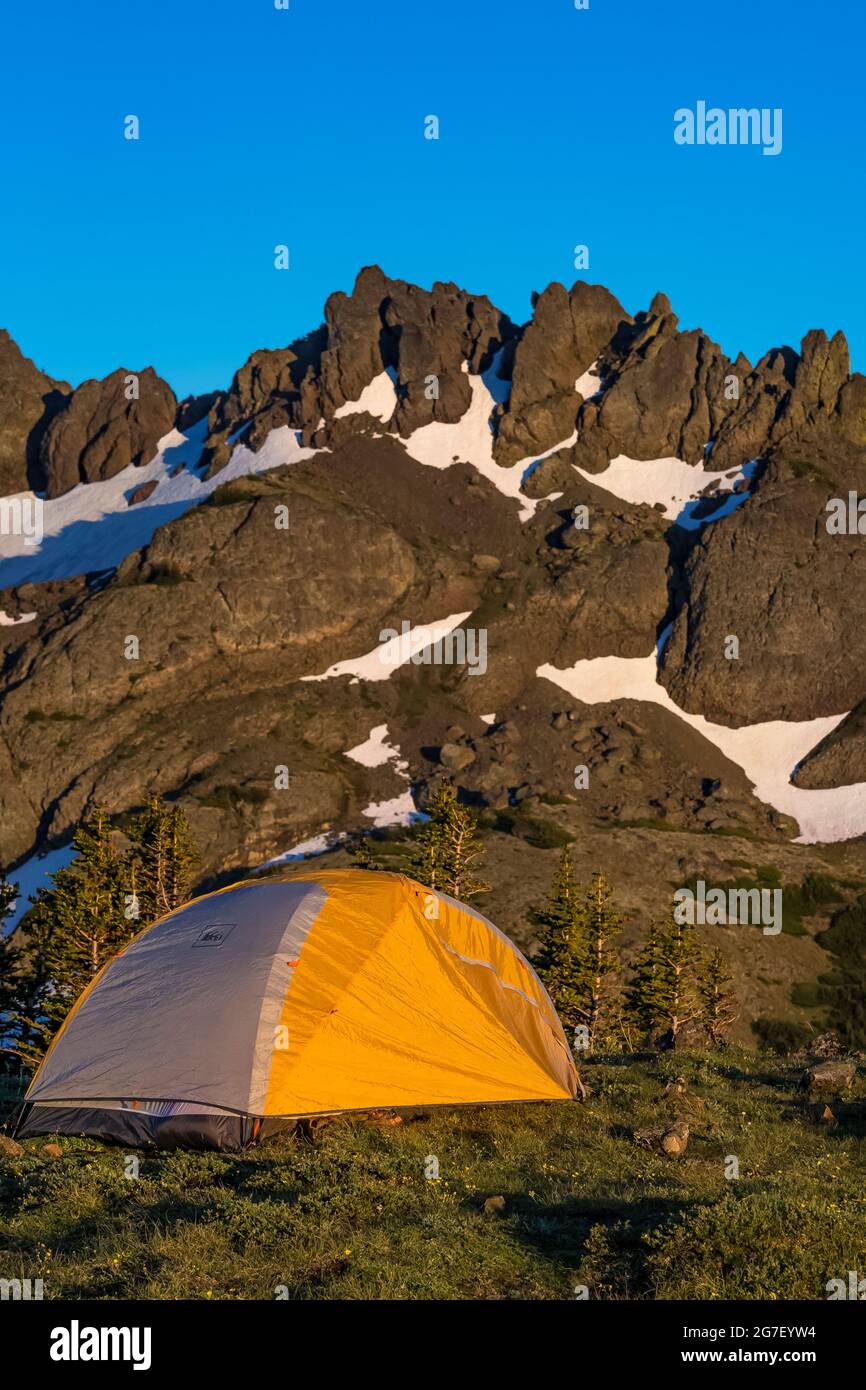 Tente dressée dans une prairie élevée près de Marmot Pass, dans la région sauvage de Buckhorn, dans la forêt nationale olympique, dans les montagnes olympiques, dans l'État de Washington, aux États-Unis Banque D'Images