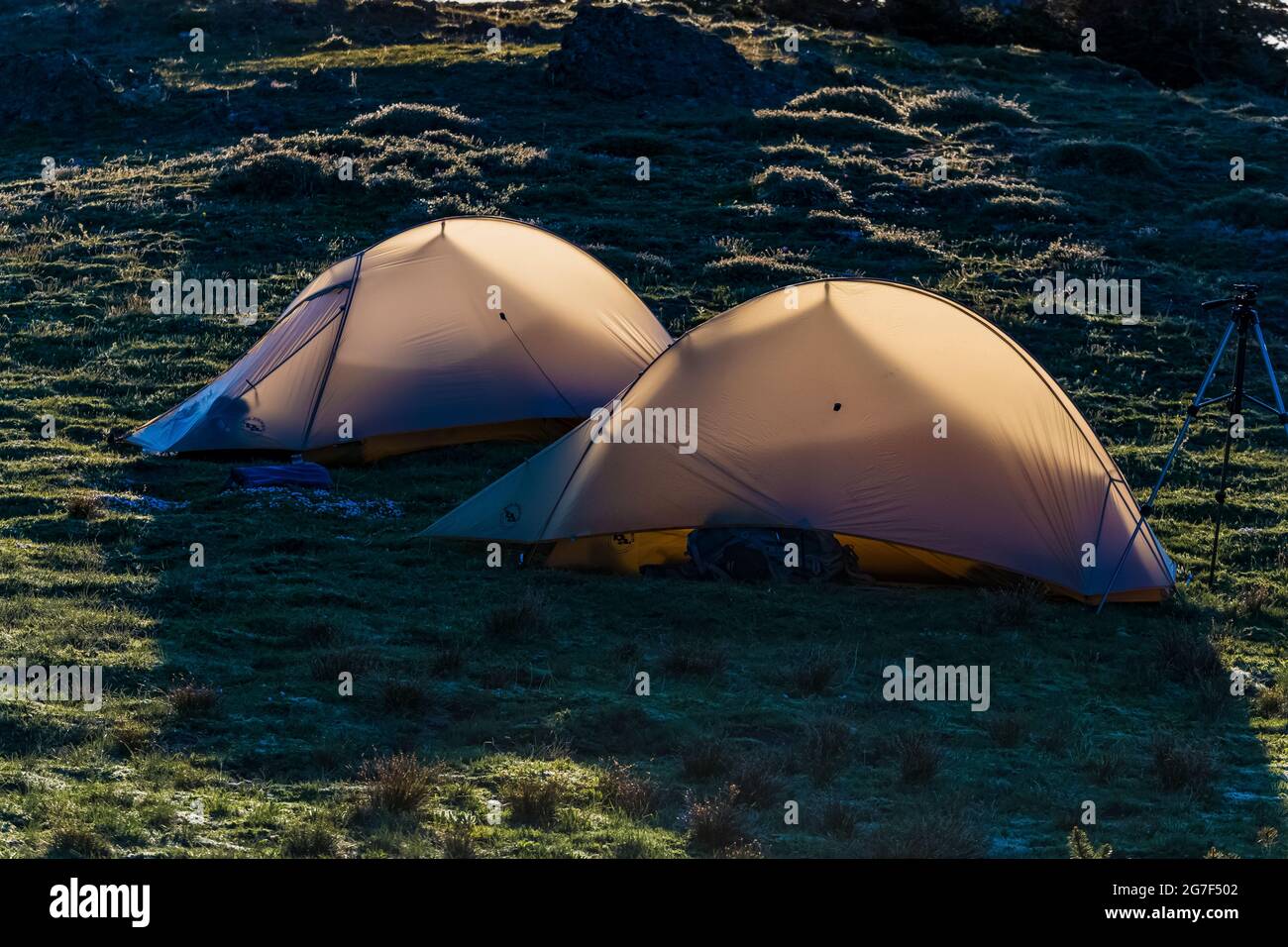 Dans la région sauvage de Buckhorn, dans la forêt nationale olympique, dans les montagnes Olympic, dans l'État de Washington, aux États-Unis Banque D'Images