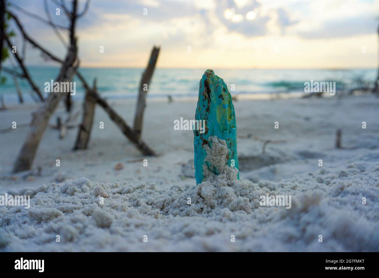 Cliché sélectif de la souche d'arbre peinte en bleu sur du sable blanc Banque D'Images