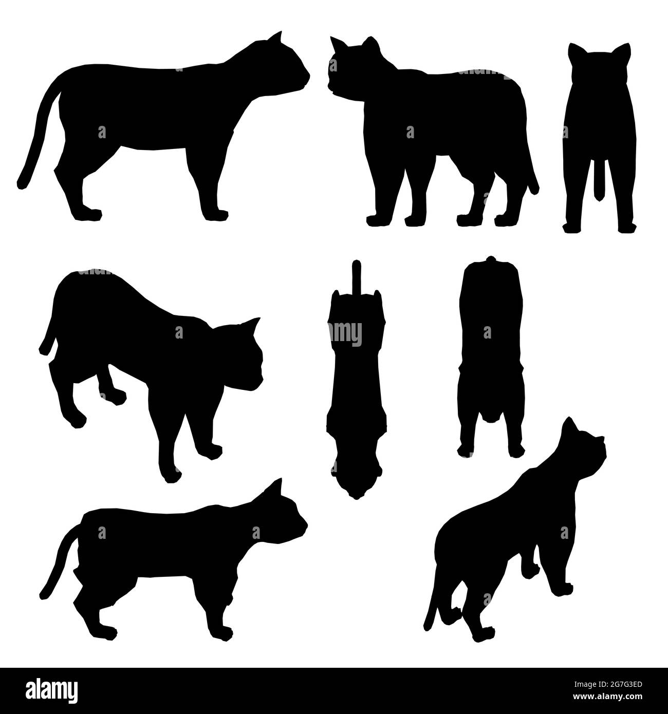 Ensemble avec silhouettes d'un chat dans différentes positions isolées sur un fond blanc. Illustration vectorielle. Illustration de Vecteur
