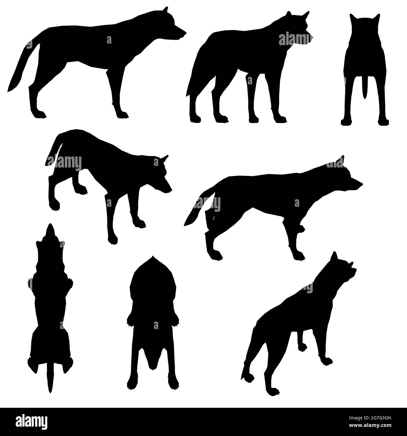 Ensemble avec silhouettes d'un chien dans différentes positions isolées sur un fond blanc. Illustration vectorielle. Illustration de Vecteur