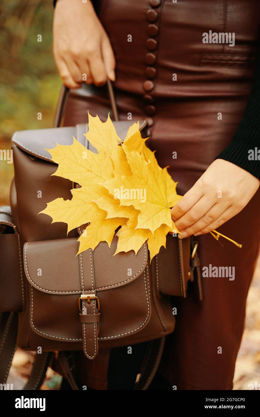 Femme avec sac à dos et laisse dans sa main. Bouquet de feuilles jaunes d'automne. Femme élégante en jupe crayon bordeaux. Photos pour le catalogue des sacs et des vêtements de saison. Banque D'Images