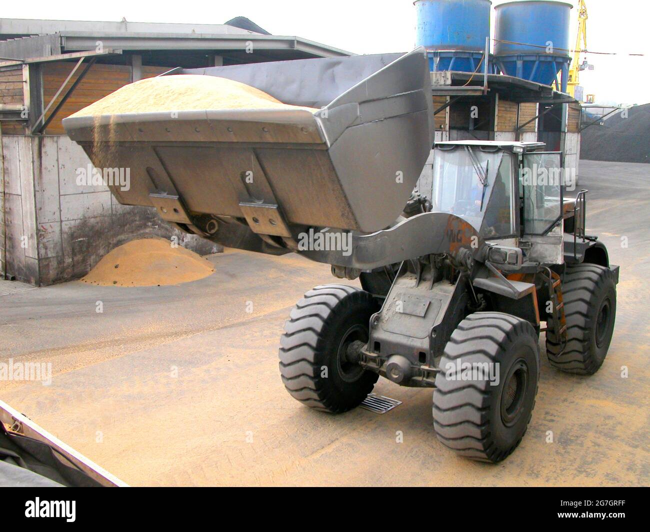 Chargement de fourrage par chargeur sur roues à godets, Autriche Banque D'Images