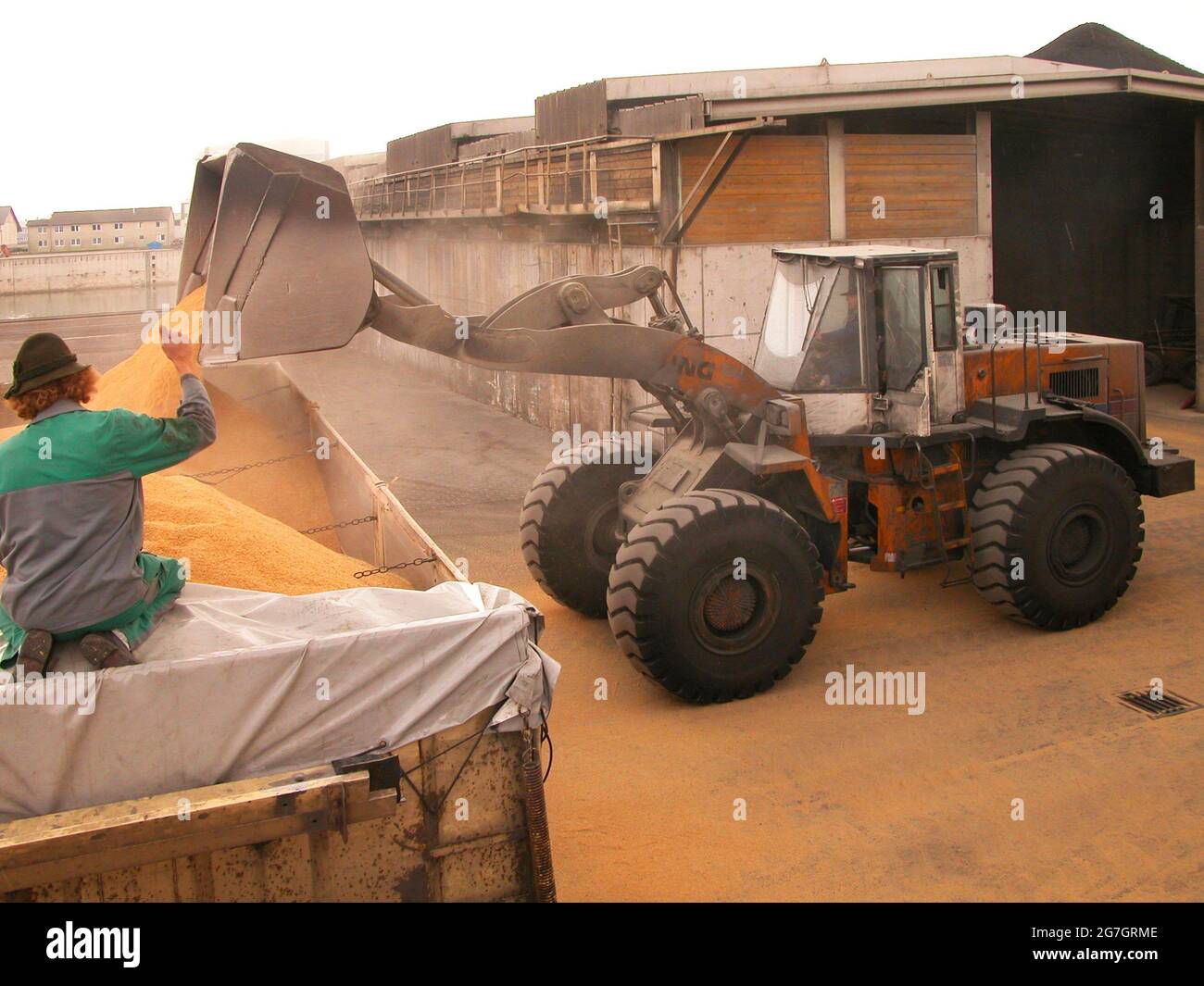 Chargement de fourrage par chargeur sur roues à godets, Autriche Banque D'Images