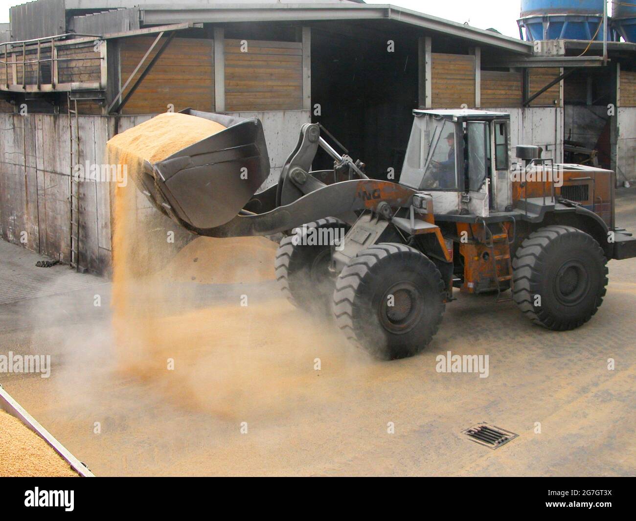 Chargement de fourrage par chargeur sur roues à godets, Autriche Banque D'Images