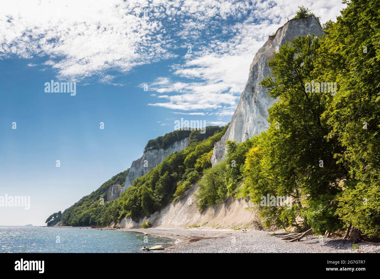 Koenigsstuhl (King's chair) sur la côte de craie de Ruegen, Mecklembourg-Poméranie occidentale, Ruegen, parc national de Jasmund Banque D'Images