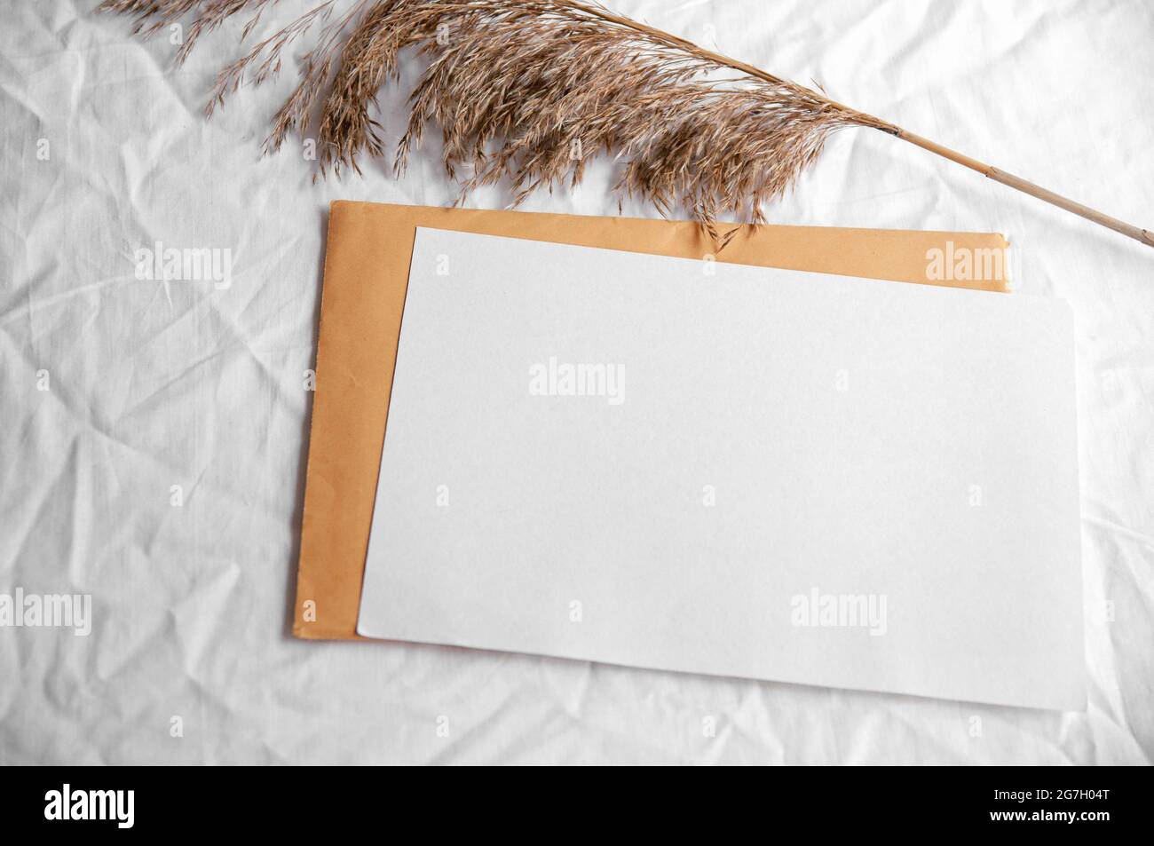 Carte blanche vide avec enveloppe, pampas herbe. Simple couche plate minimale sur tissu blanc blanc blanc blanc blanc et couleur jaune lettre Banque D'Images