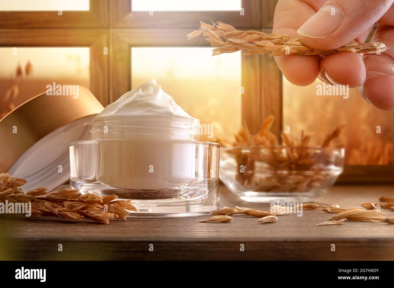 Crème hydratante naturelle avec extrait d'avoine dans un pot en verre sur une table en bois et main avec pointe avec fenêtre à l'arrière-plan et champ d'avoine à l'extérieur Banque D'Images