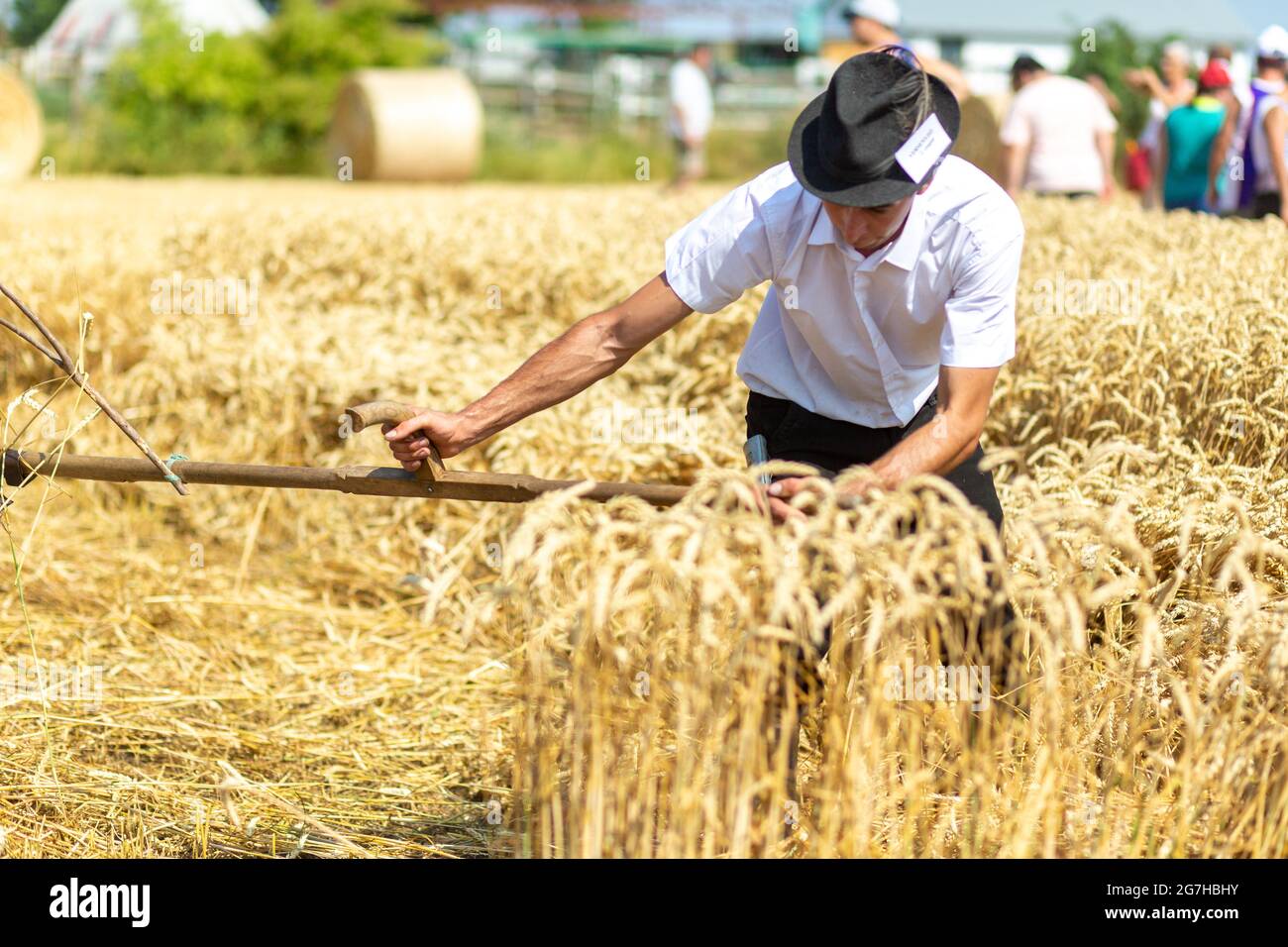 Récolte traditionnelle dans les zones rurales de l'est de la Hongrie Banque D'Images