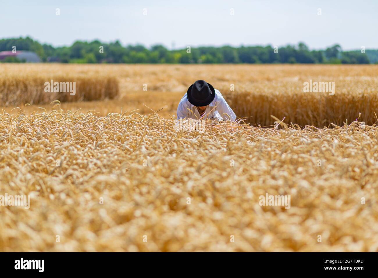 Récolte traditionnelle dans les zones rurales de l'est de la Hongrie Banque D'Images