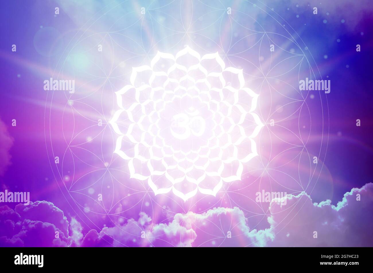 Le symbole sahasrara Chakra sur fond violet. C'est le septième Chakra, également appelé le Chakra de la Couronne Banque D'Images