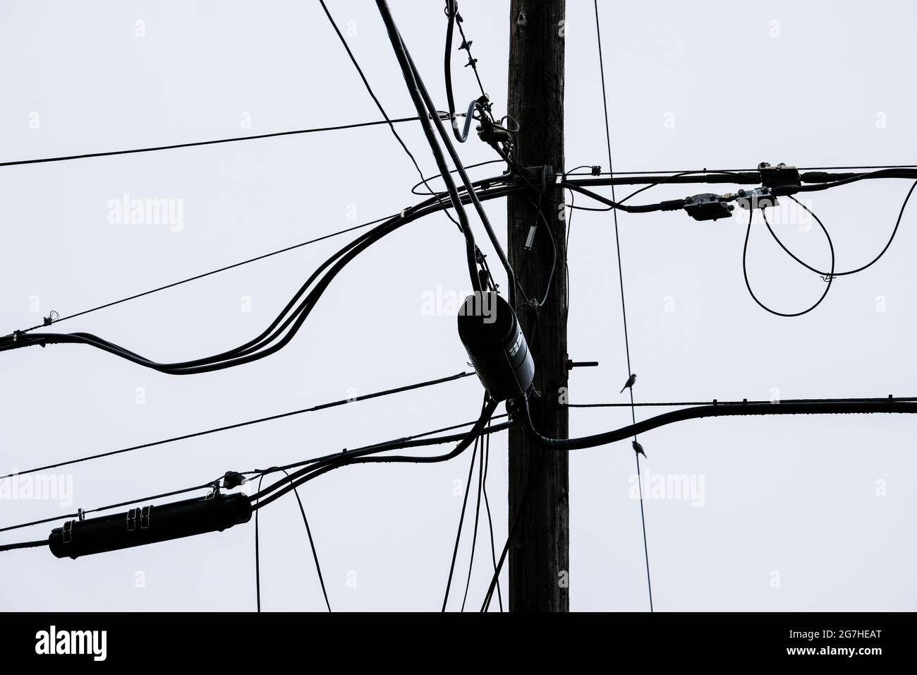 Silhouette de câbles de services publics laids pour le téléphone, les communications et l'électricité sur poteau de services publics dans le Connecticut, Etats-Unis. Banque D'Images