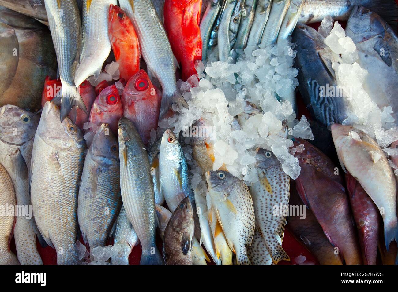 Les poissons crus sur comptoir du marché Banque D'Images