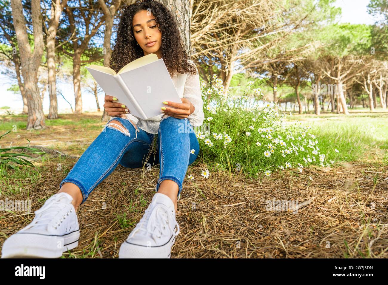 Vue basse d'un brunette afro-américain en curly dans des jeans bleus et des  sneakers blanches assis sous un arbre dans une forêt de pins près de la mer  lire un livre b