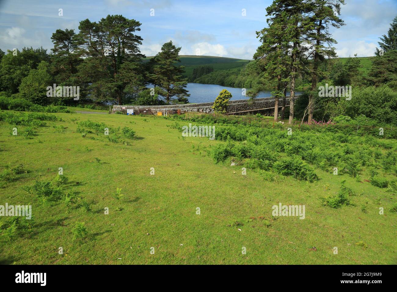 Réservoir de Venford, parc national de Dartmoor, Devon, Angleterre, Royaume-Uni Banque D'Images