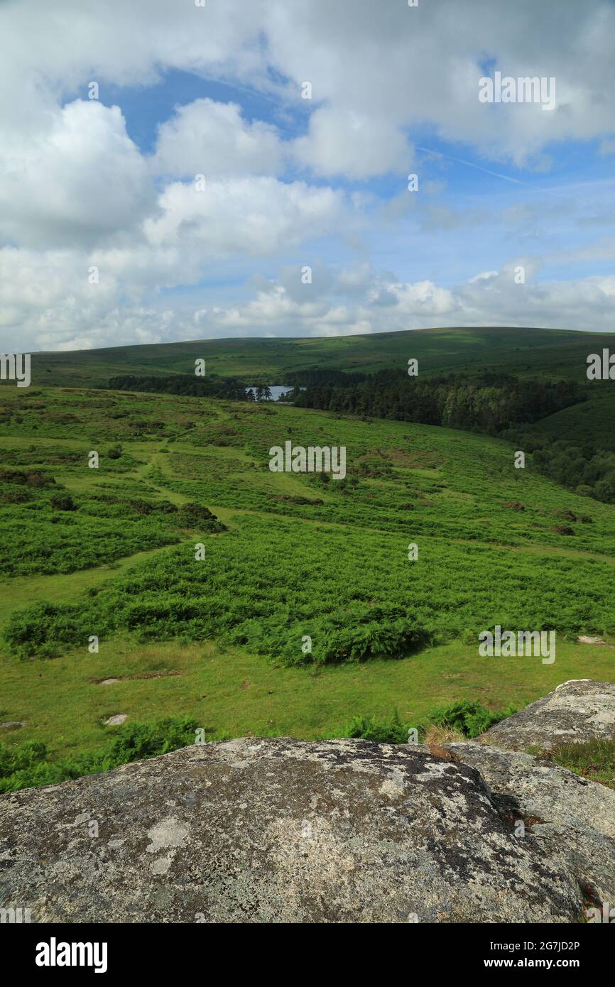 Vue d'été de Bench tor au réservoir de Venford, Dartmoor, parc national, Devon, Angleterre, ROYAUME-UNI Banque D'Images